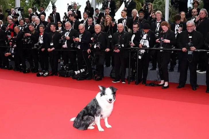 Why wasn't Matt Damon at the Oscars?