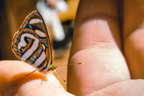 Science: Life Might Be Just Matter With Meaning