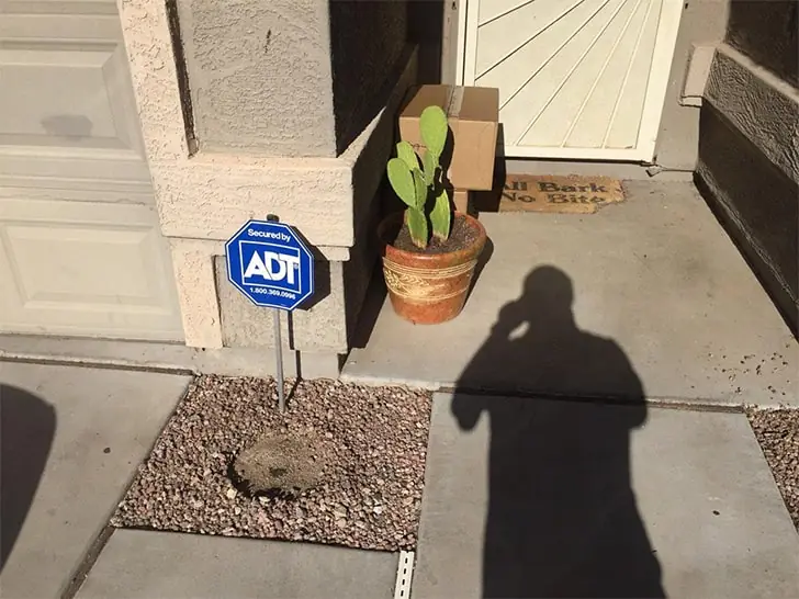 All Bark, No Bite