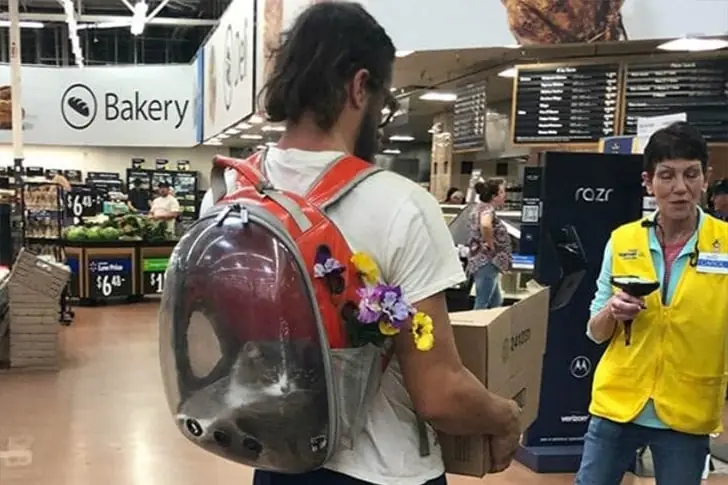 Cat’s Not Out Of The Bag