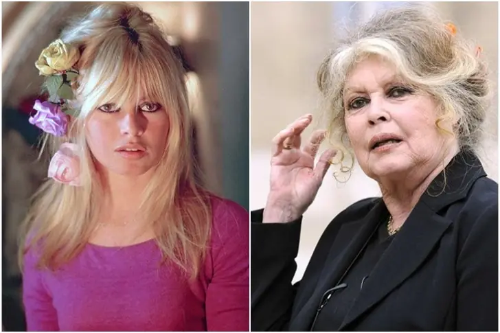 Brigitte Bardot, 86 – $65 Million